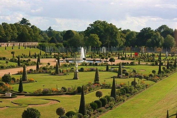 Blooming flowers at Hampton Court Palace