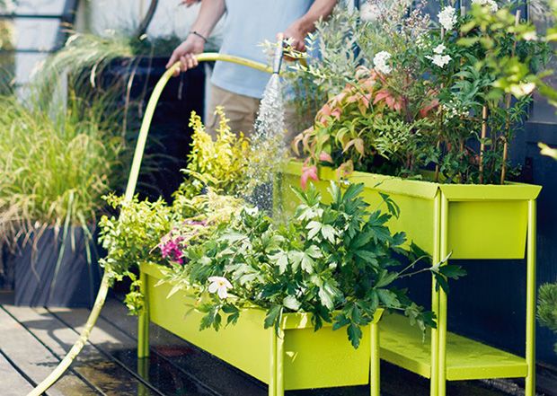 Heading abroad? Maintain your garden while on holiday