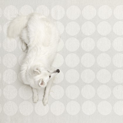 Hugo