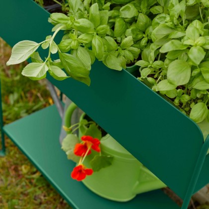 Picolino Plant Holder